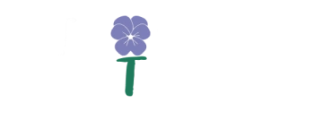 Твои Цветы