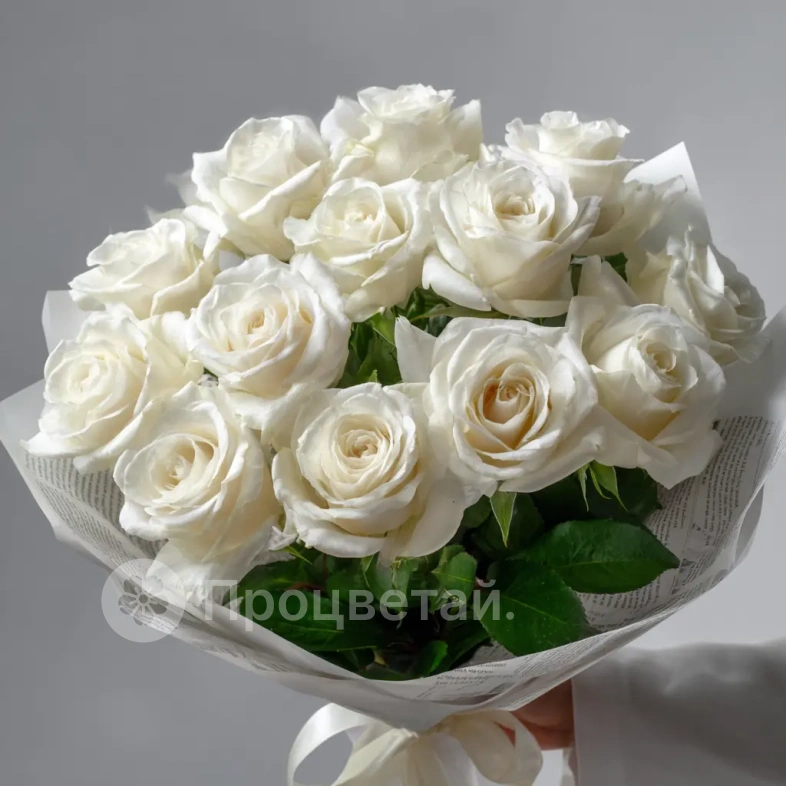 Белые розы &laquo;Северная нега&raquo;