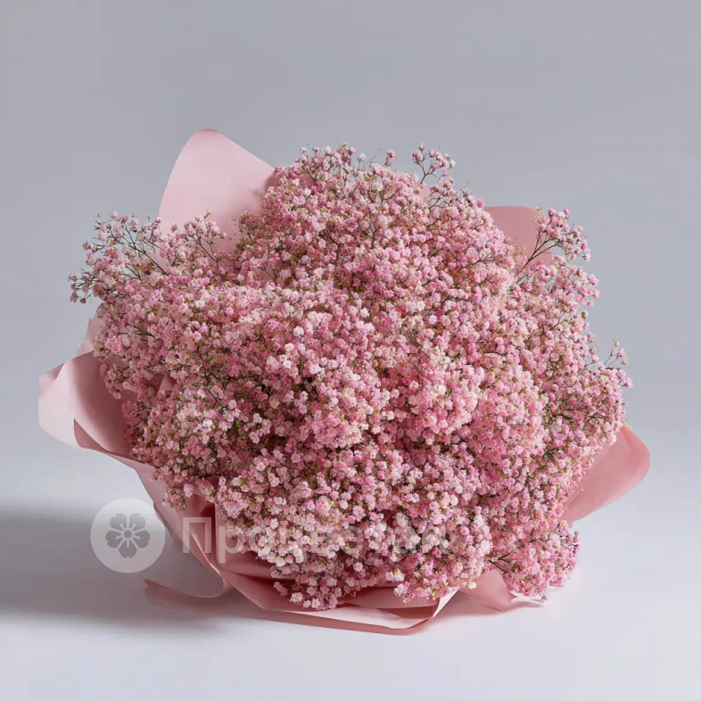 Монобукет из розовой гипсофилы