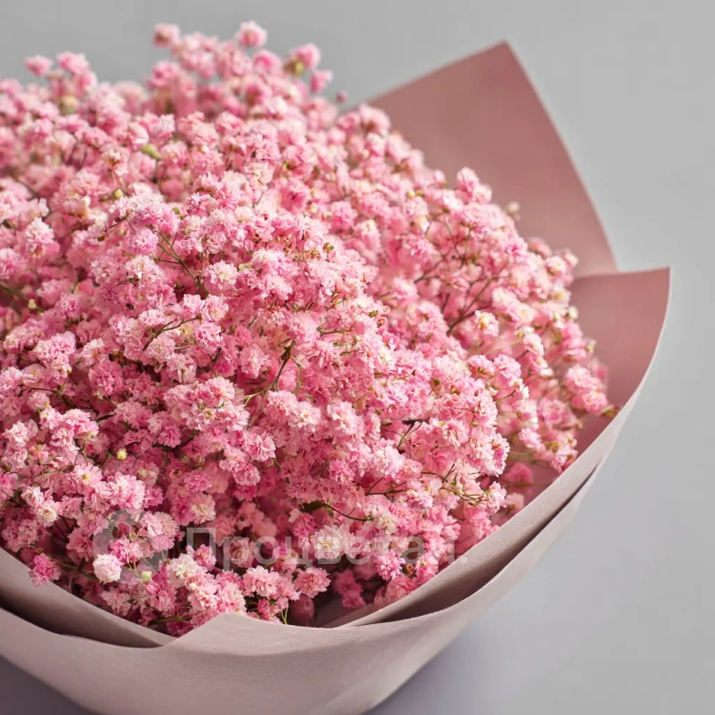 Монобукет из гипсофилы &laquo;Ажурный комплимент&raquo;