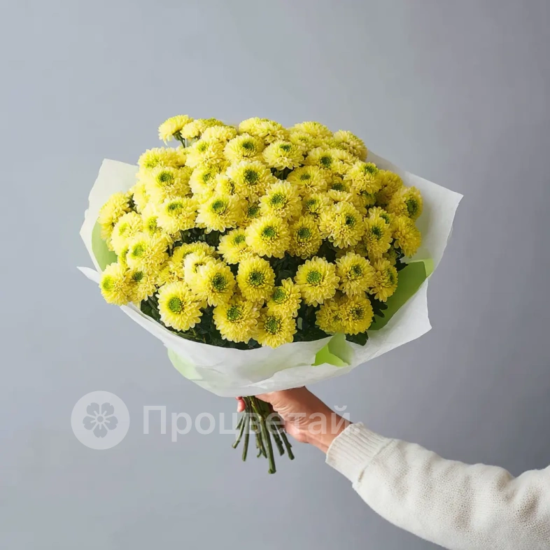 Монобукет из хризантем &laquo;Солнечное касание&raquo;