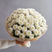 Монобукет из хризантем &laquo;Белое облако&raquo; 0