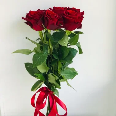 Букет из 7 красных роз