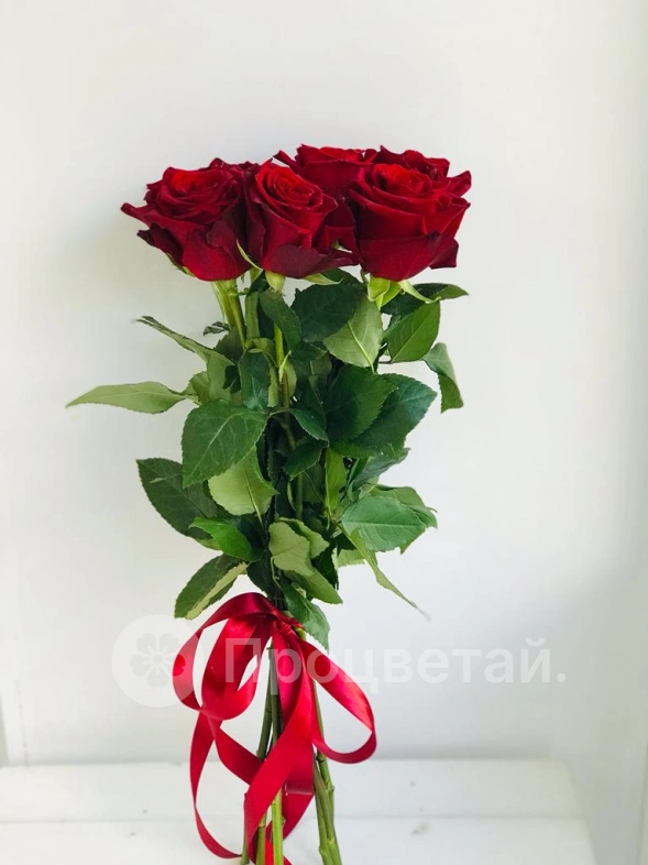 Букет из 7 красных роз