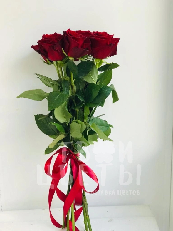 Букет из 7 красных роз